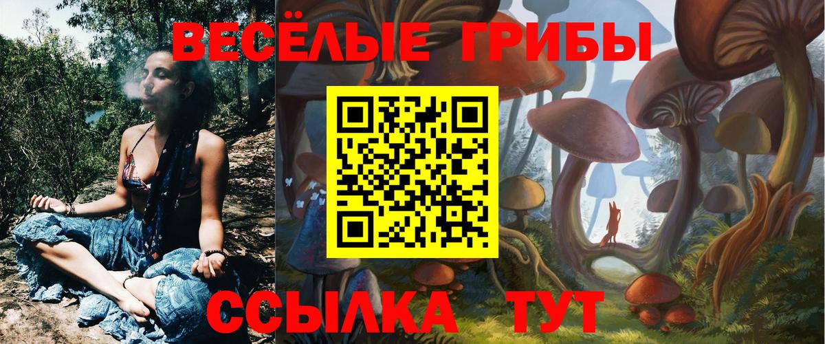 Псилоцибиновые грибы мицелий Дедовск