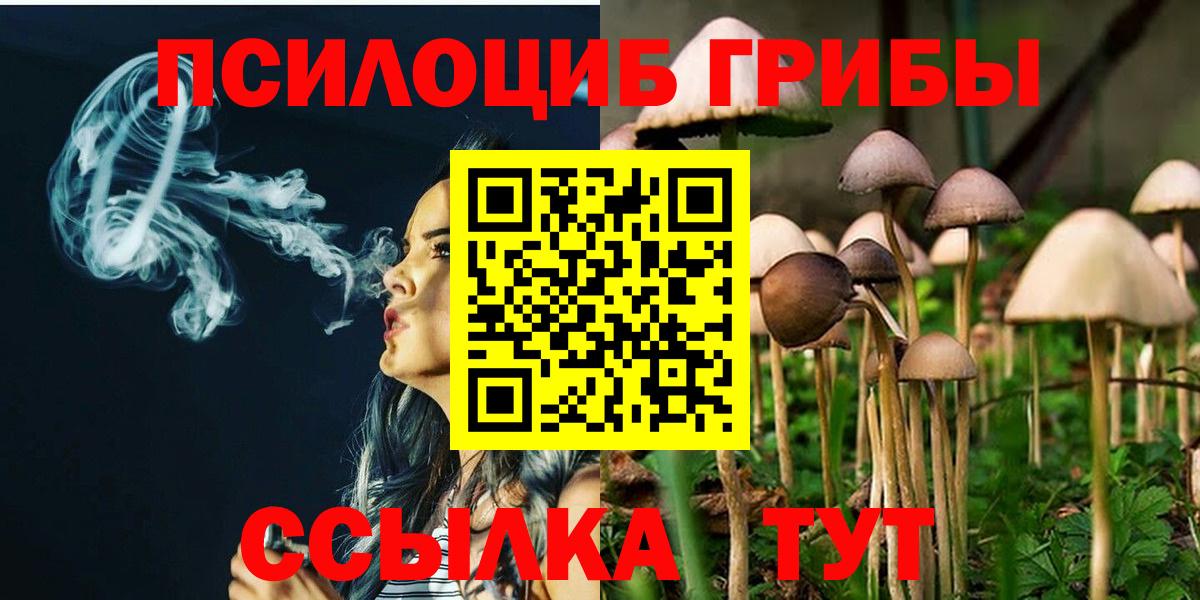 Псилоцибиновые грибы GOLDEN TEACHER  Вход с VPN  Дедовск 