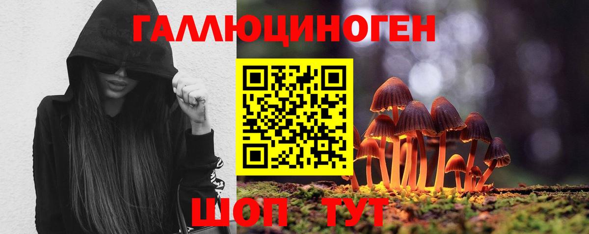 Метамфетамин  МДМА  Меф МЯУ МЯУ кристаллы  Дедовск  Метадон  Каннабис  Гашиш  Вход с VPN 